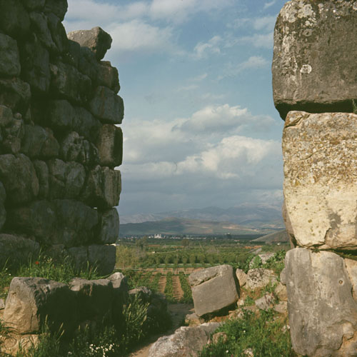  - olive groves 500px